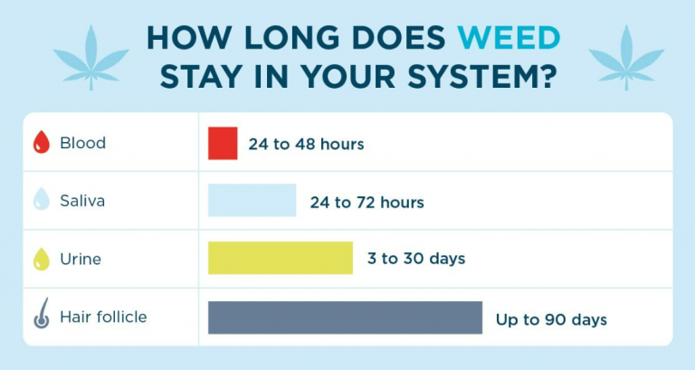 How Long Weed Stay in Your System: Urine, Saliva, Hair, and Blood ...